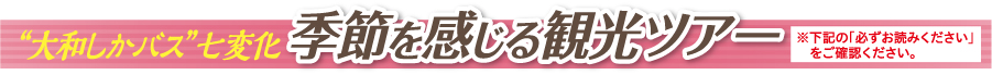 季節を感じる観光ツアー