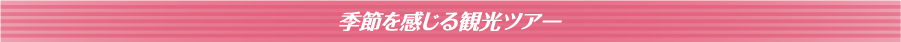 季節を感じる観光ツアー