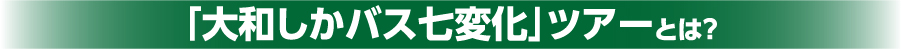 「大和しかバス七変化」ツアーとは？